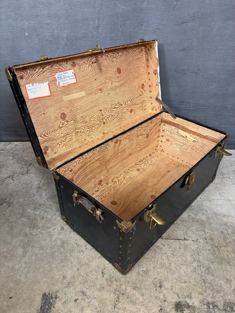 Trunk