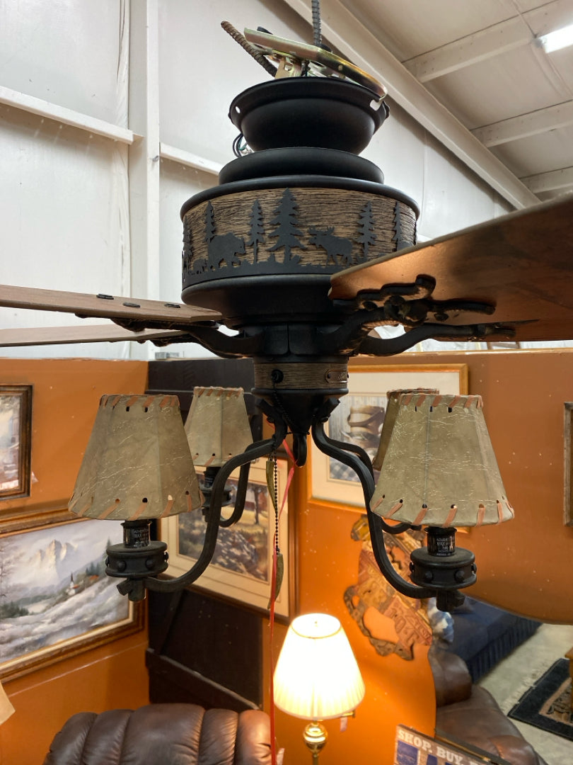 Fan
