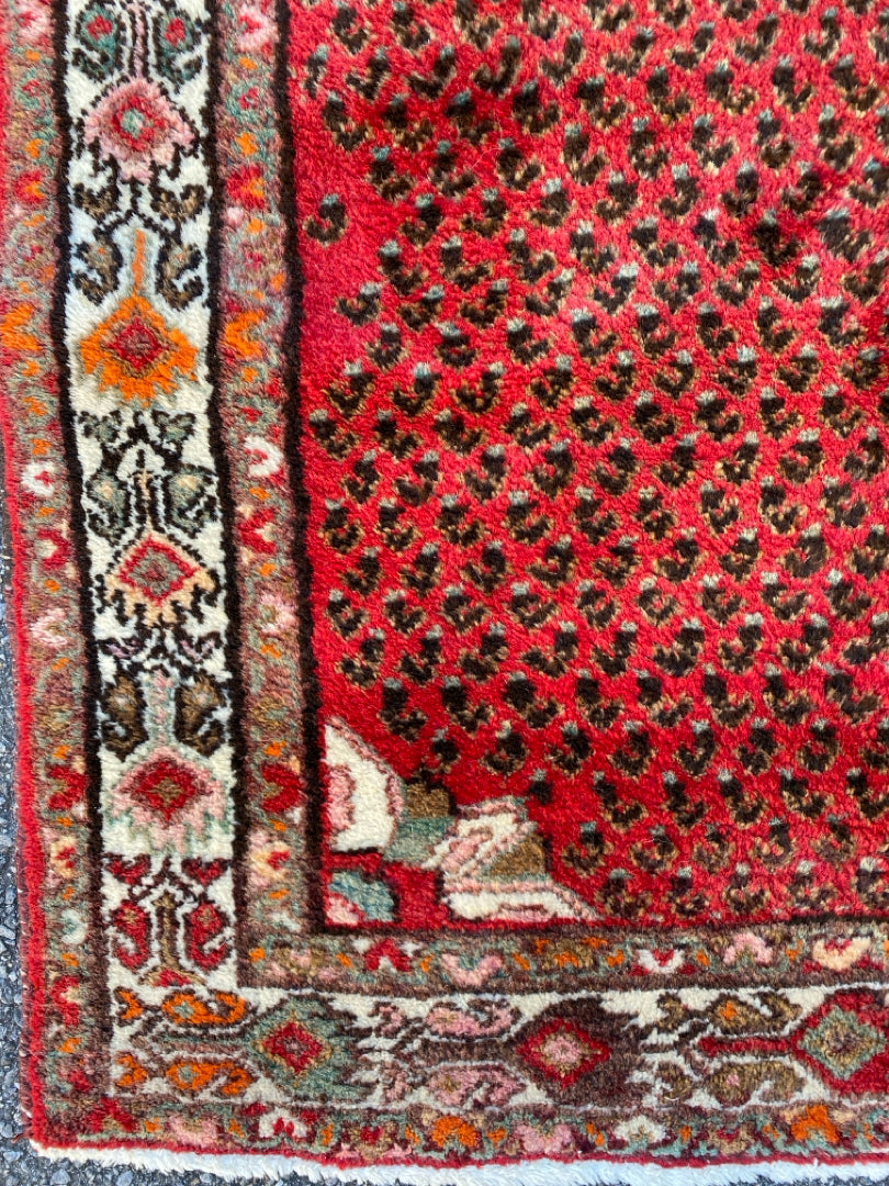Rug