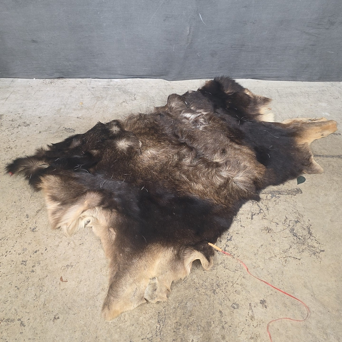 Rug