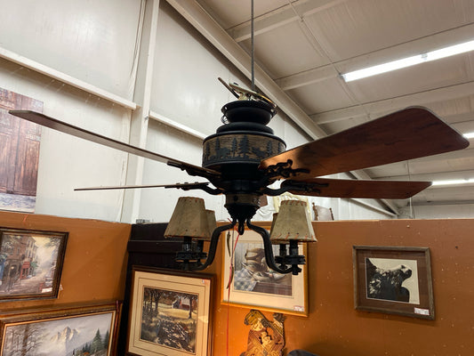 Fan